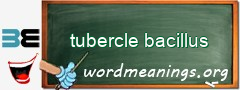 WordMeaning blackboard for tubercle bacillus